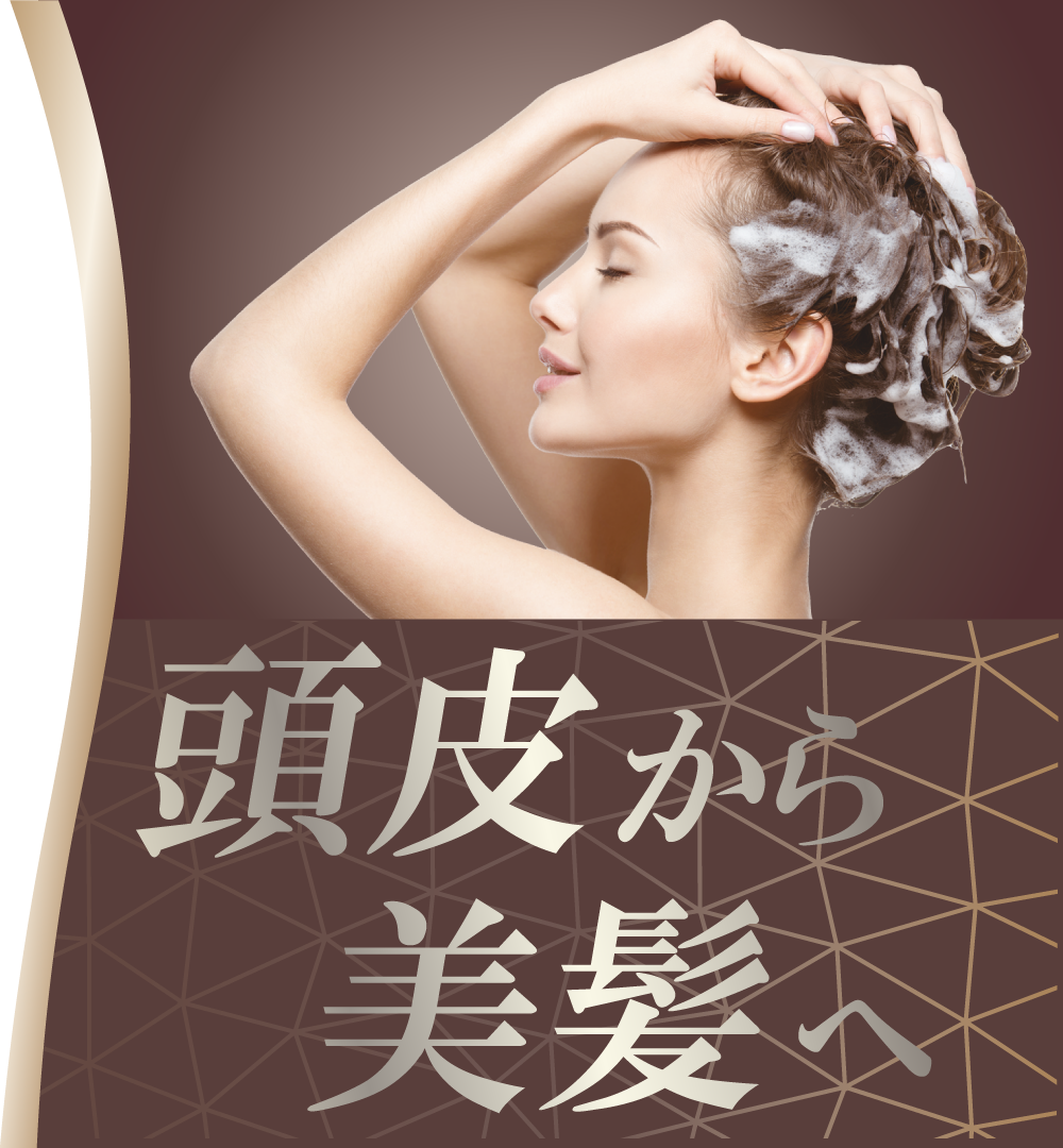 頭皮から美髪へ