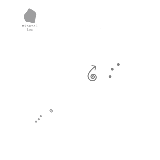 ヘッドカッサ アッパー