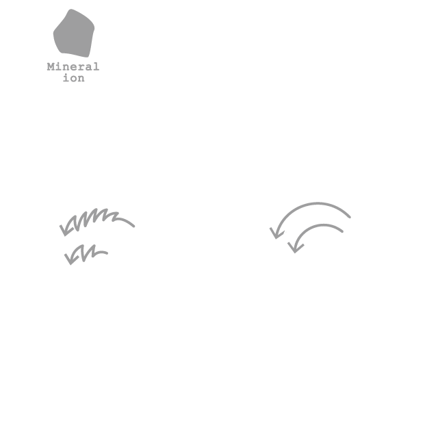ヘッドカッサ コーム